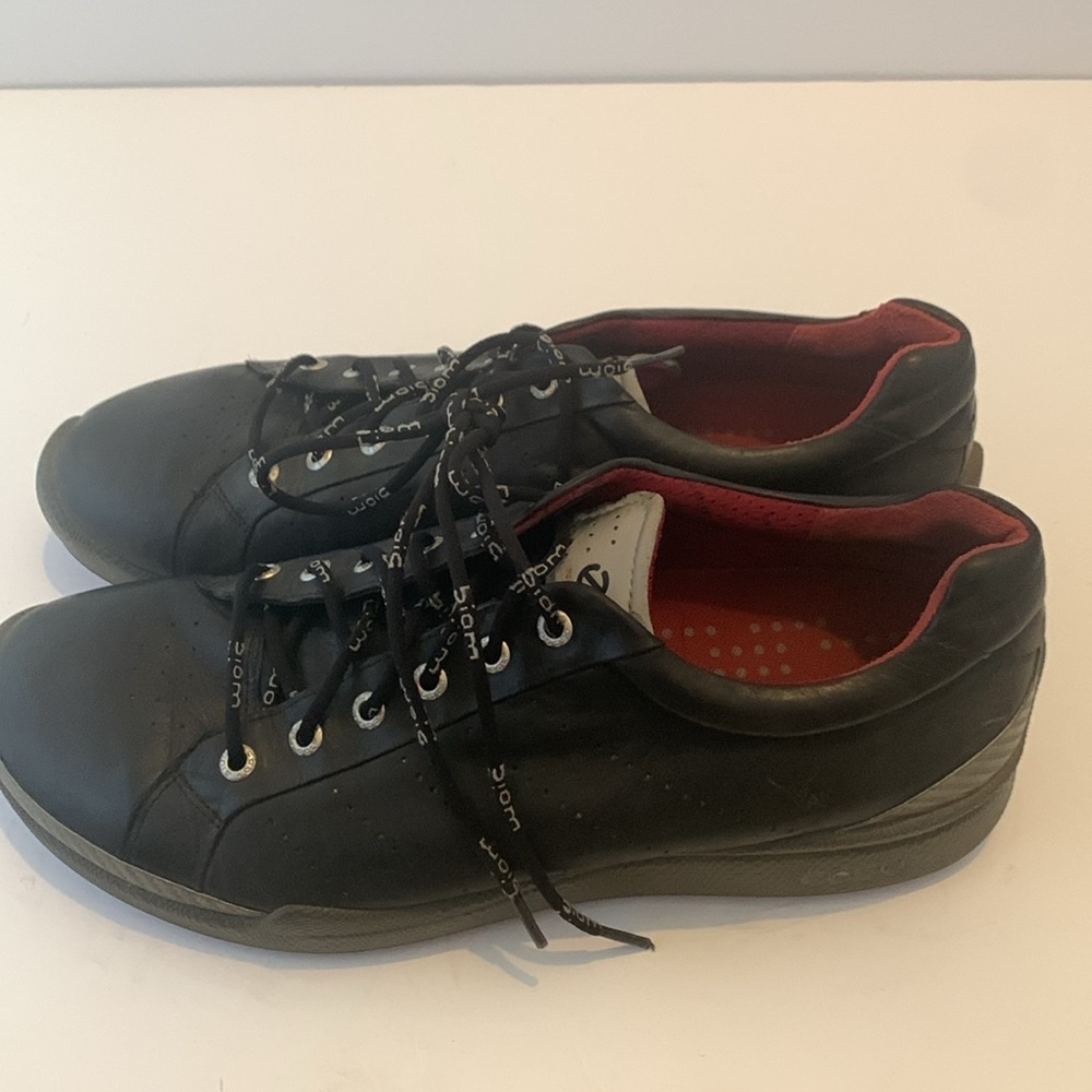Ecco Biom View 2